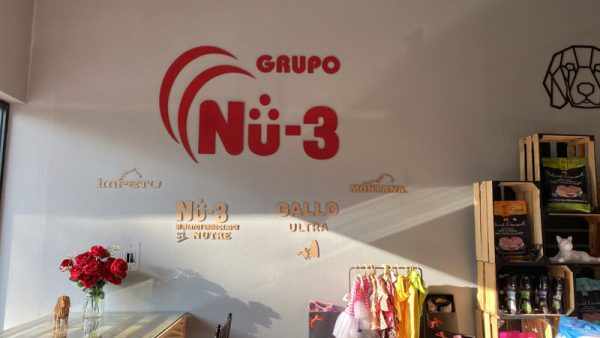 ESTUDIO UNO61 106